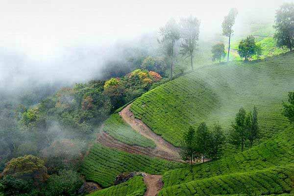 06 Days Dhauladhar Ranges Tour, India