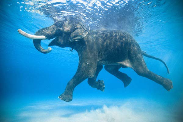Glimpses of Andaman's Tour