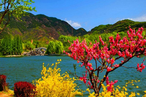 Magical Kashmir
