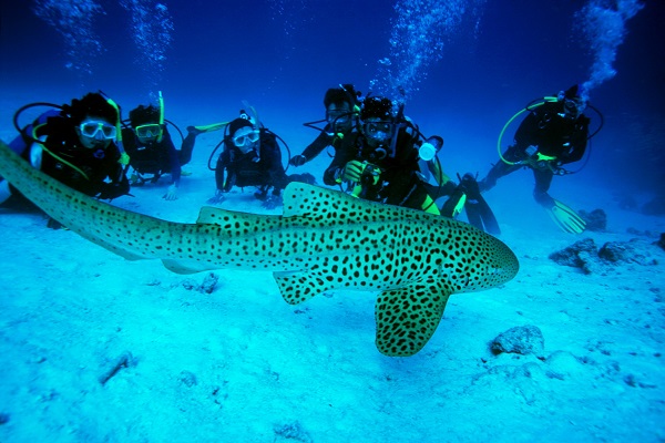 Mesmerizing Andaman Tour, India