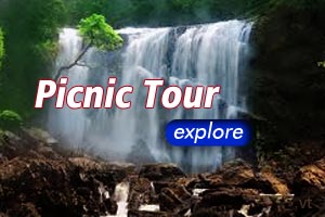 Picnic Tour