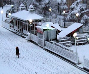  Shimla/Manali