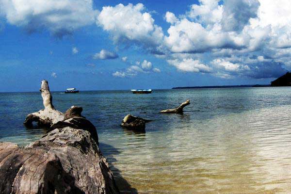 Splendors Andaman Tour