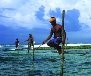Srilanka