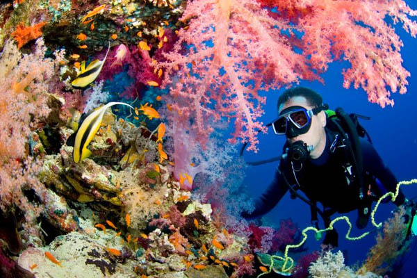 Unforgettable Andaman Tour