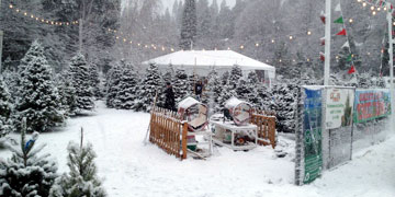 Winter Tour